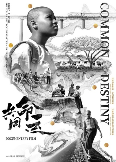 共同命运的海报-其他海报
