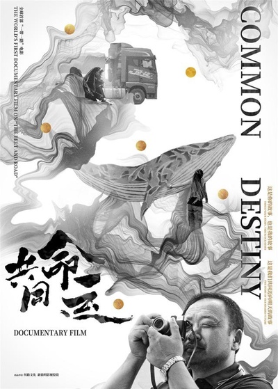 共同命运的海报-其他海报