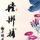 螳螂捕蝉
