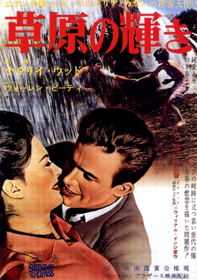 天涯何处觅知音的海报-正式海报 日本