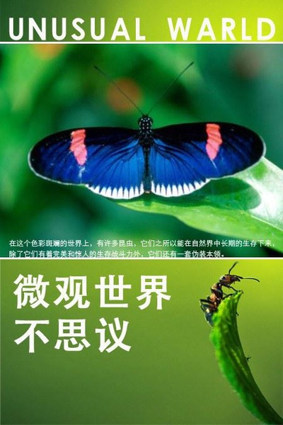 微观世界不思议的海报-正式海报