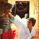 斗殴空手道 极真拳