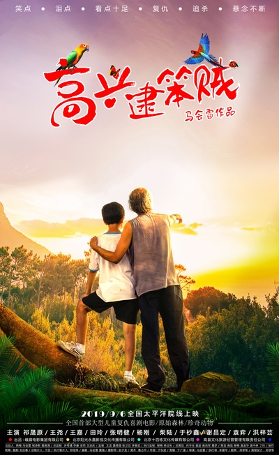 高兴逮笨贼的海报-正式海报