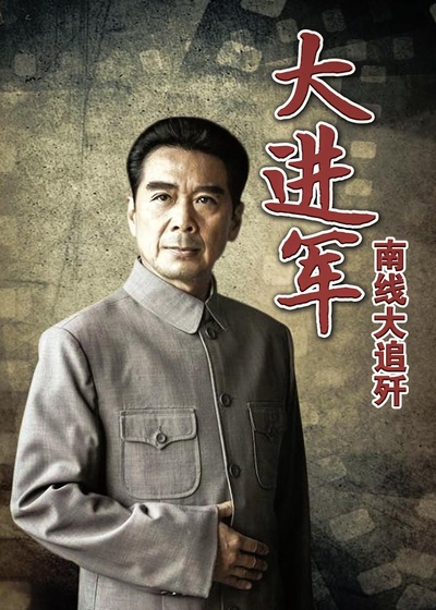 大进军——南线大追歼的海报-正式海报 中国大陆