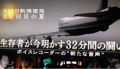 日航机坠毁30年之夏 幸存者解密32分间的战斗的海报-正式海报 日本