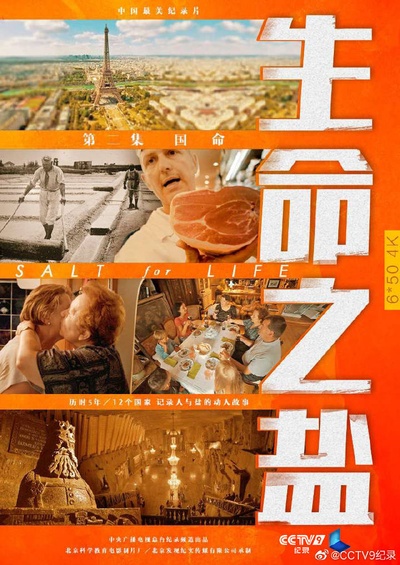 生命之盐的海报-预告海报 中国大陆