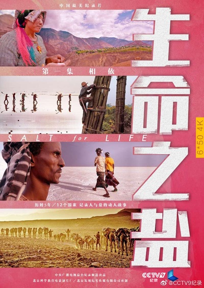 生命之盐的海报-预告海报 中国大陆