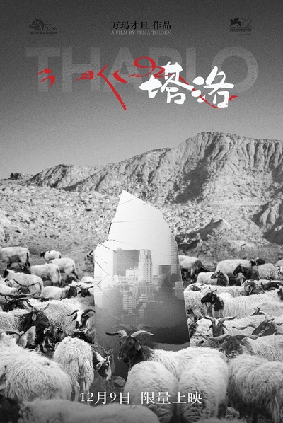 塔洛的海报-预告海报 中国大陆