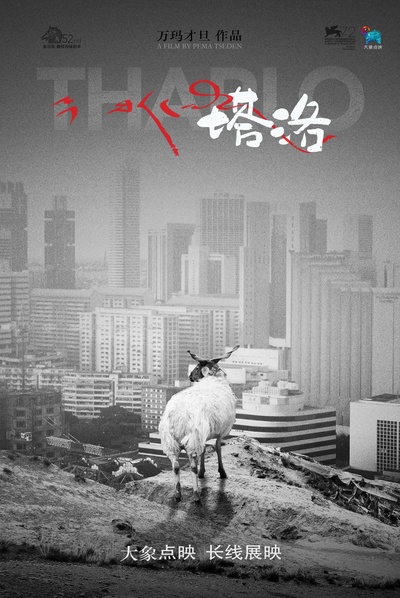塔洛的海报-其他海报 中国大陆