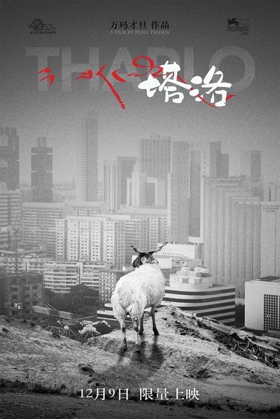 塔洛的海报-预告海报 中国大陆