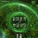 影响世界的中国植物