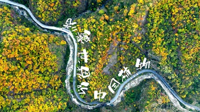 影响世界的中国植物的海报-其他海报
