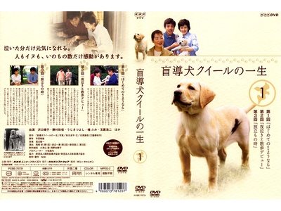 导盲犬小Q之一生的海报-正式海报