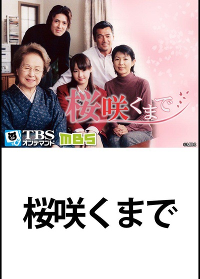 直到樱花绽放的海报-正式海报