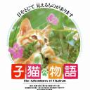 小猫的故事