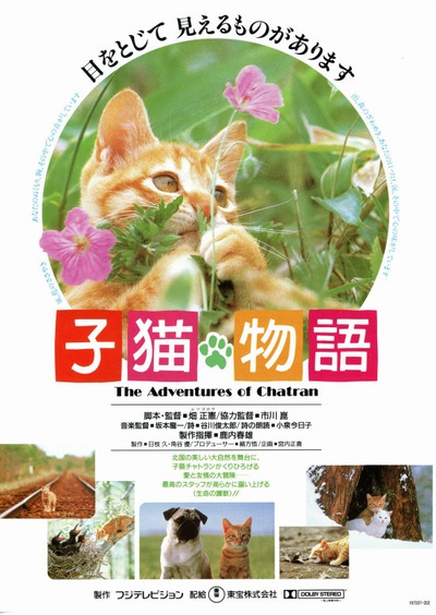 小猫的故事的海报-正式海报 日本