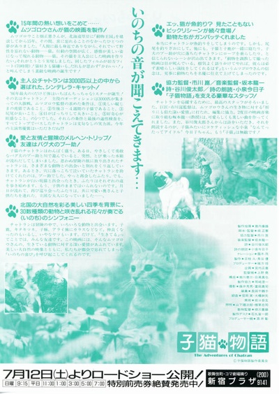 小猫的故事的海报-其他海报 日本