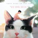 只有我没有猫