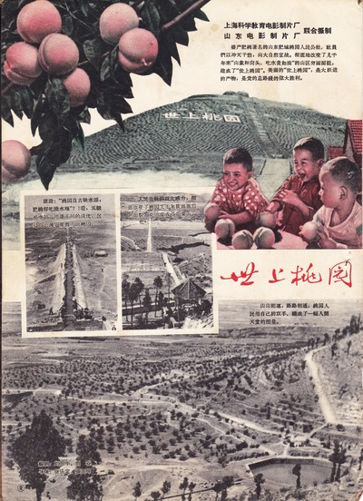 世上桃园的海报-正式海报