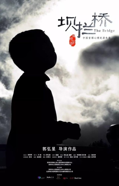 坝拦桥的海报-正式海报