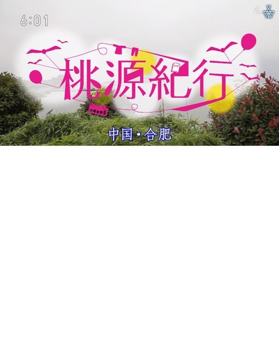 桃源纪行系列 城市篇 中国·合肥的海报-正式海报