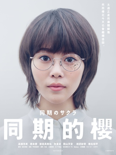同期的小樱的海报-正式海报 中国台湾