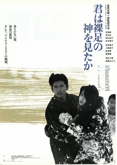 你看见赤脚大仙了吗？的海报-正式海报 日本