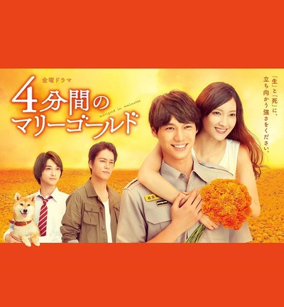 四分钟的金盏菊的海报-正式海报