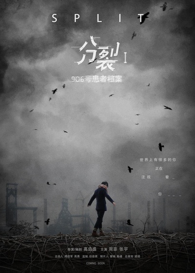 分裂1:906号患者档案的海报-正式海报