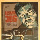 306号案件
