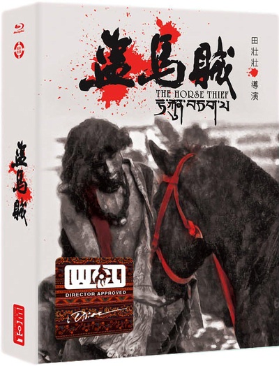 拍给下个世纪的电影：汤尼·雷恩谈《盗马贼》的海报-正式海报 中国大陆