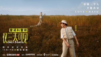 仅三天可见的海报-预告海报 中国大陆