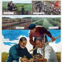 土——农业八字宪法之一