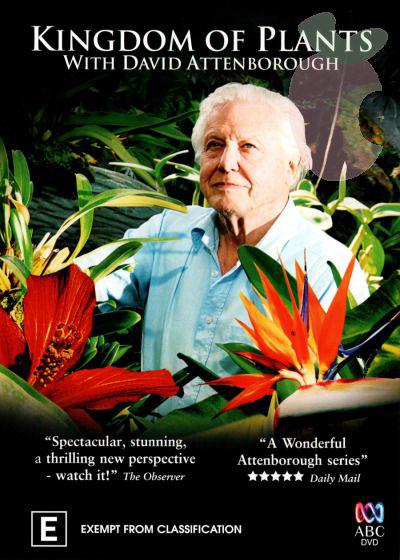 植物王国的海报-正式海报