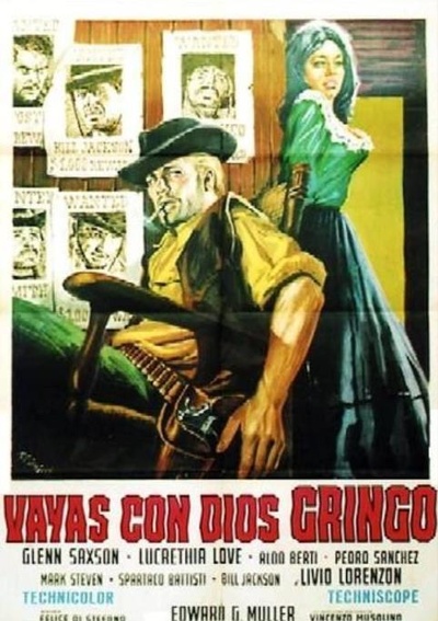 Vaya con dios gringo的海报-正式海报