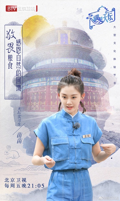 遇见天坛的海报-角色海报