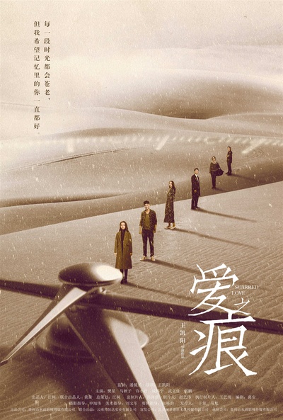 爱·之痕的海报-预告海报 中国大陆