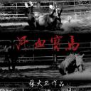 汗血宝马