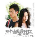 那个傻瓜爱过你