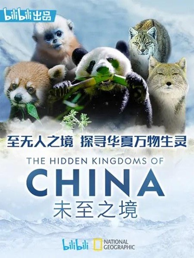 未至之境的海报-正式海报