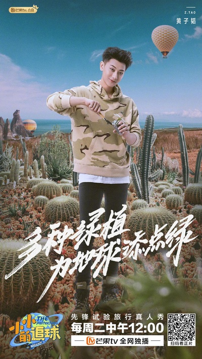 小小的追球的海报-正式海报