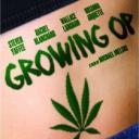 我家种大麻