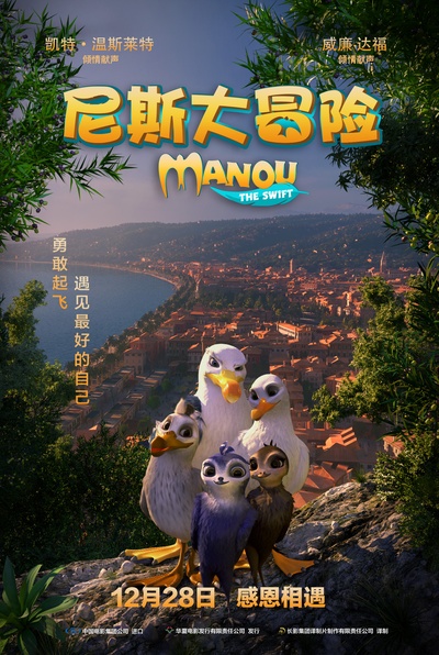 尼斯大冒险的海报-正式海报 中国大陆