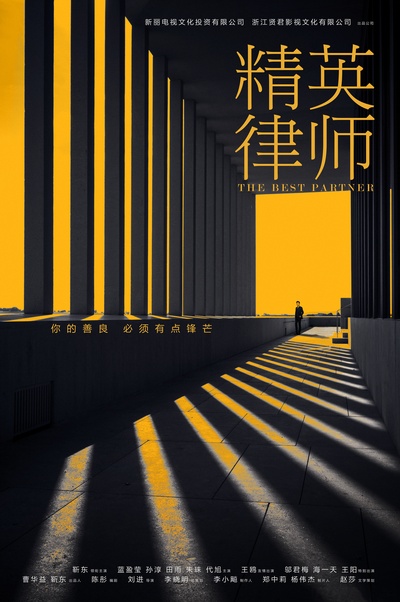 精英律师的海报-预告海报