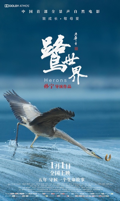 鹭世界的海报-其他海报 中国大陆