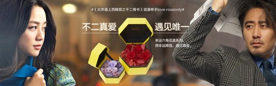 北京遇上西雅图之不二情书的海报-其他海报 中国大陆