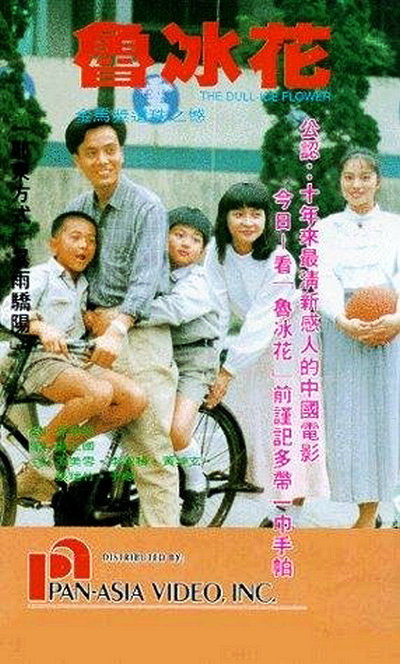 鲁冰花的海报-正式海报