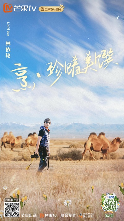野生厨房 第二季的海报-正式海报