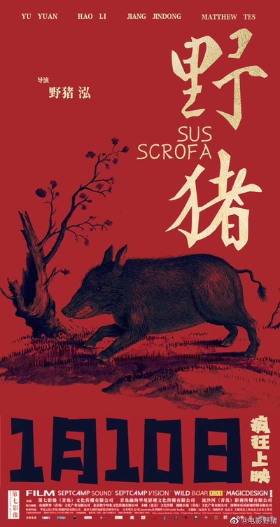 野猪的海报-正式海报 中国大陆