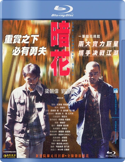 暗花的海报-正式海报 中国大陆